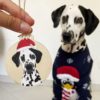 Boule de Noël personnalisée avec le portrait peint à la main de votre animal préféré