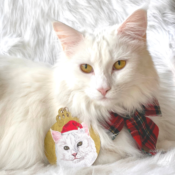 Boule de Noël personnalisée portrait chat Kitsch Lorraine