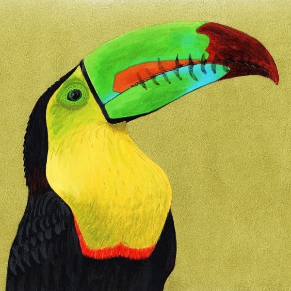 porte monnaie peint main Adélaïde le toucan kitsch lorraine 2